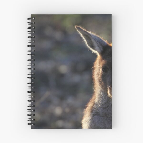 Item preview, Mt. Lofty Kangaroos Pt.2 designed and sold by Stuart Daddow Photography.