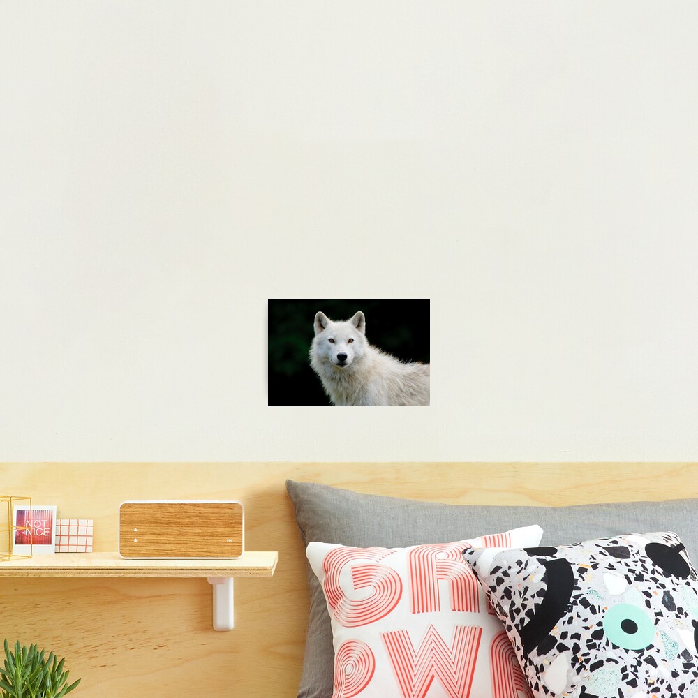 Vista previa del artículo con la obra «Lámina fotográfica», diseñado y vendido por WolvesOnly.