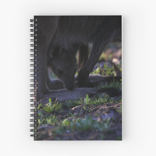 Item preview, Mt. Lofty Kangaroos Pt.5 designed and sold by Stuart Daddow Photography.