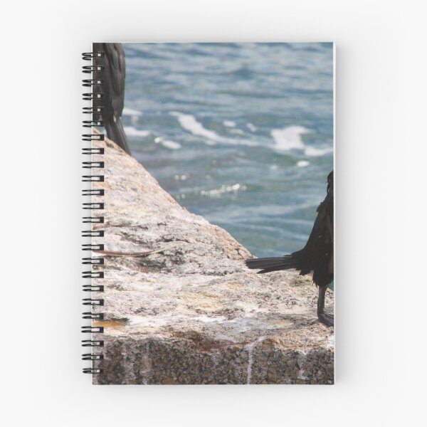 Item preview, The Conducting Shag designed and sold by Stuart Daddow Photography.