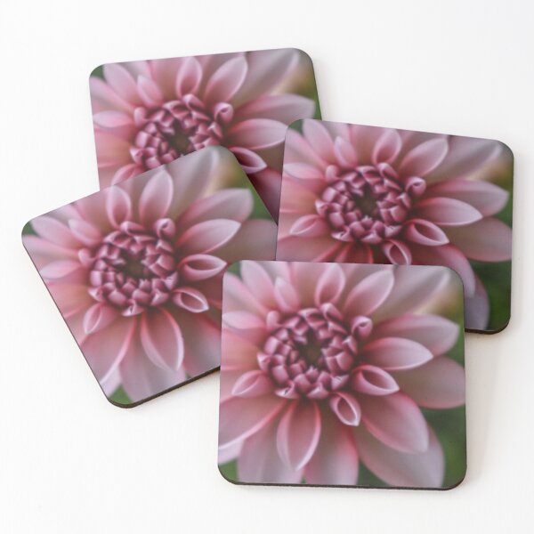 Item preview, Pink Dahlia designed and sold by DonnaMariePhoto.