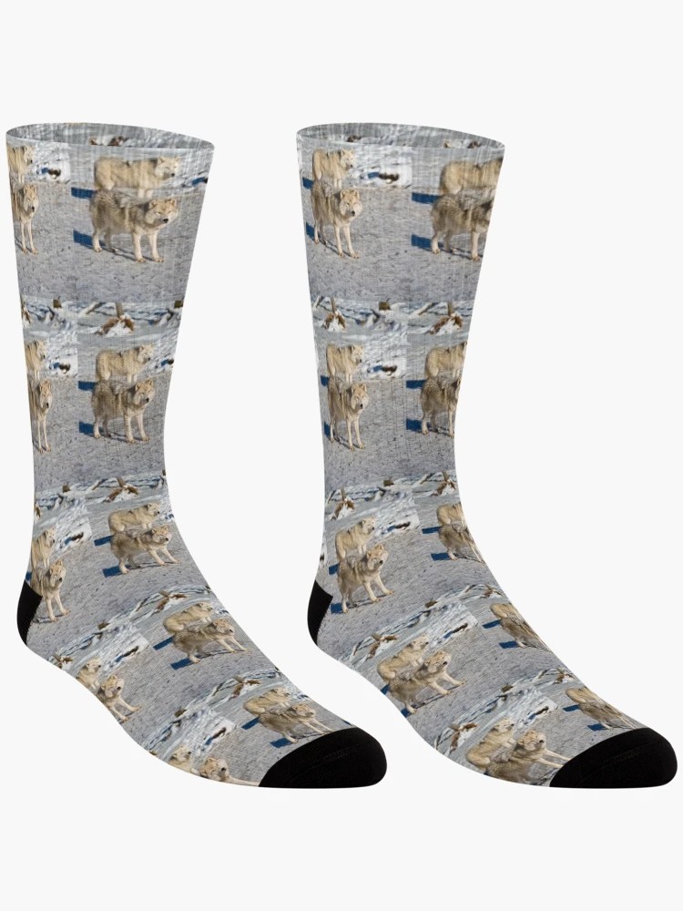 Thumbnail 3 of 5, Socks, Arctic Wolves designed and sold by WolvesOnly.
