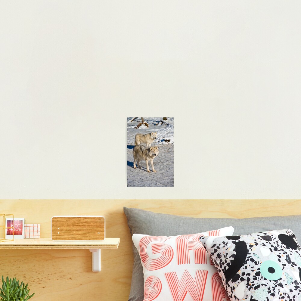 Item preview, Photographic Print designed and sold by WolvesOnly.