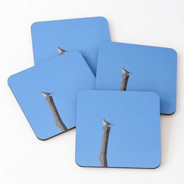 Item preview, beautiful cuckoo in wild on a twig posed designed and sold by conceptDVS.