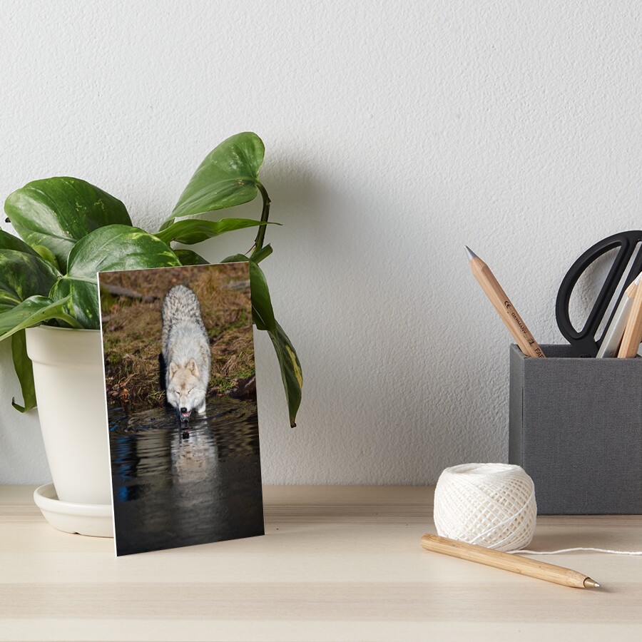 Vista previa del artículo con la obra «Lámina rígida», diseñado y vendido por WolvesOnly.