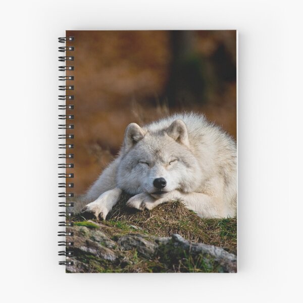 Item preview, Arctic Wolf designed and sold by WolvesOnly.