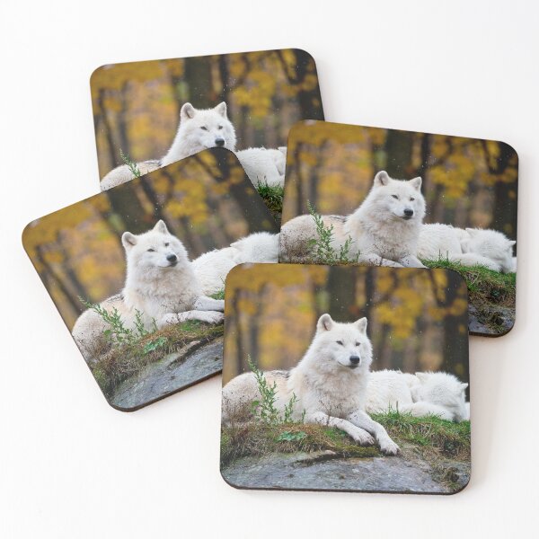 Artikelvorschau, Arctic Wolf entworfen und verkauft von WolvesOnly.