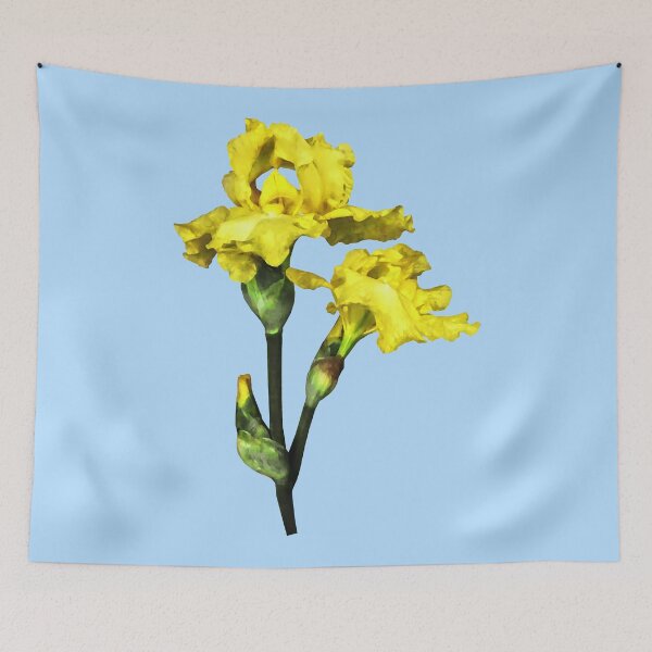 Item preview, Two Yellow Irises and Buds designed and sold by Susan Savad.