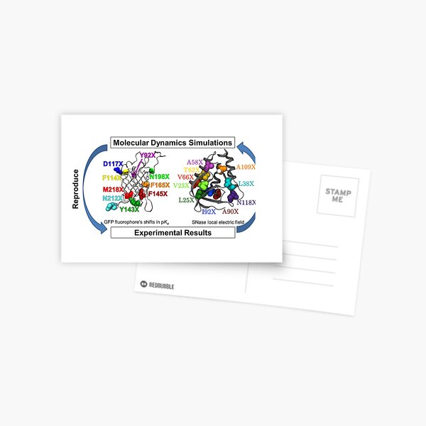 Molecular Dynamics Simulation Postcard