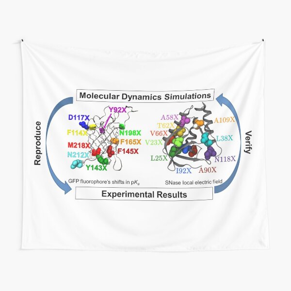 Molecular Dynamics Simulation Tapestry