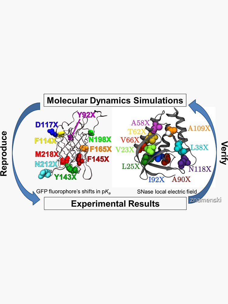 Molecular Dynamics Simulation by znamenski