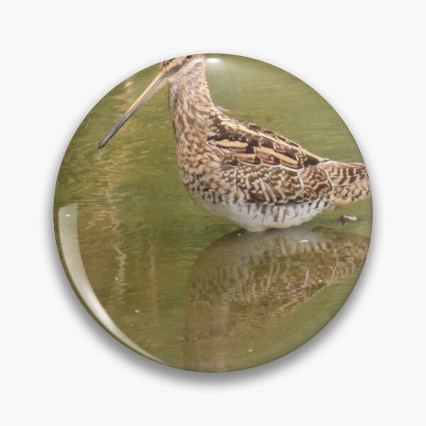 Item preview, Common snipe (Gallinago gallinago) badge designed and sold by ggquark.