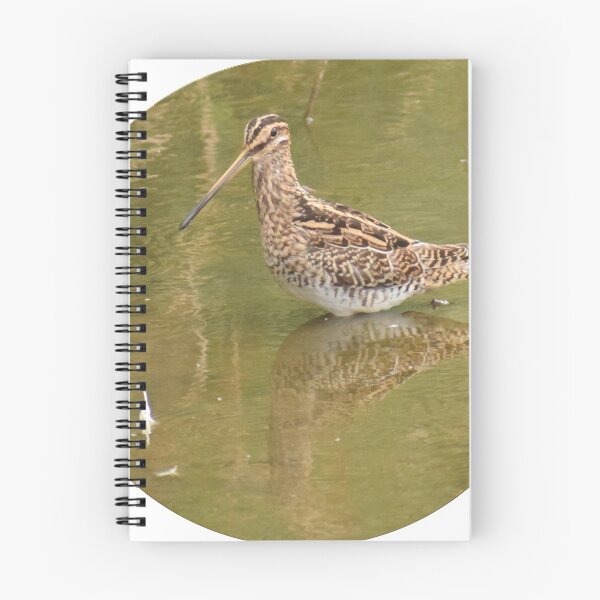 Item preview, Common snipe (Gallinago gallinago) badge designed and sold by ggquark.