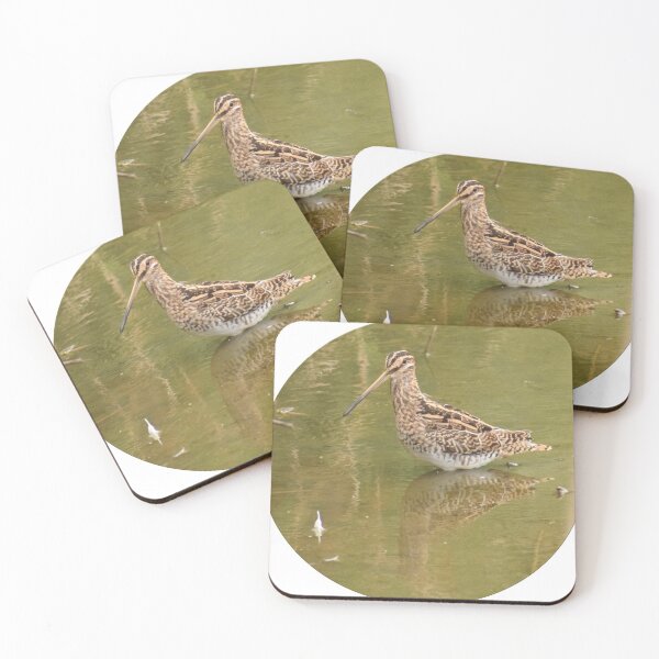 Item preview, Common snipe (Gallinago gallinago) badge designed and sold by ggquark.