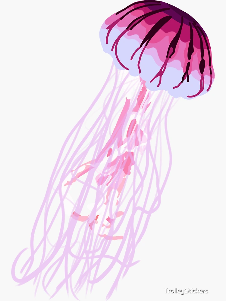 Roblox Pink Jellyfish transparent PNG - StickPNG