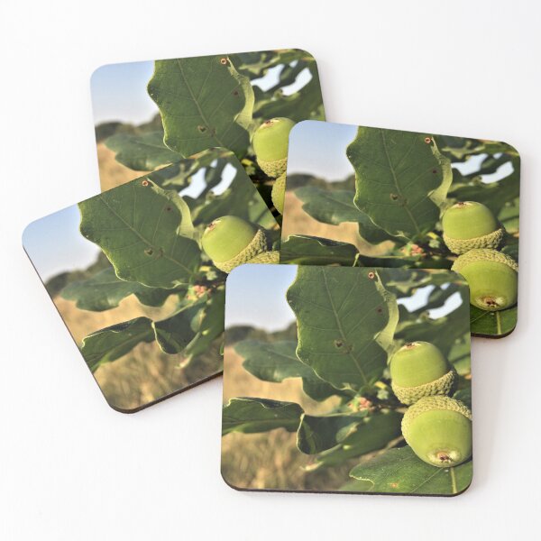 Item preview, Acorns designed and sold by Kirkman Photography.