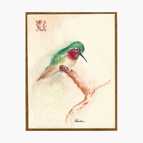 KOTORI - Hummingbird Watercolor Painting by Rebecca Rees Photographic Print