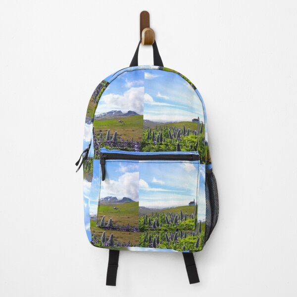 Item preview, Ingjaldscholskirkja - isolated church - Rif Iceland designed and sold by AHELENE.