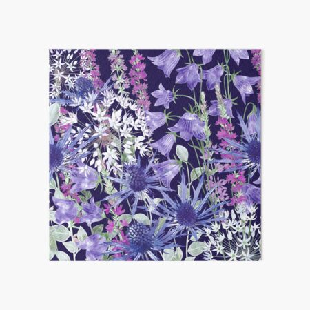 Sea Holly, Harebells (Campanula), White Alliums & Purple Loosestrife Art Board Print