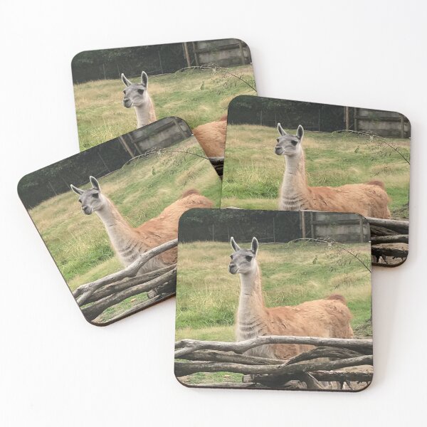 Item preview, Drama llama  designed and sold by SupremeGoddess.