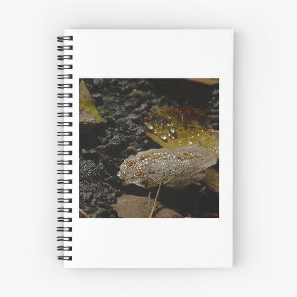 Aperçu de l'œuvre Feuilles et nature créée et vendue par Fantomenbubble.