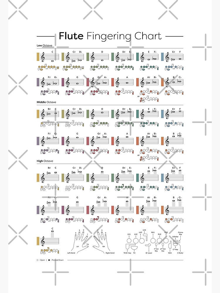 "Flute Fingering Chart" Poster for Sale by pennyandhorse | Redbubble