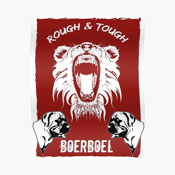 Boerboel Rough and tough lion Poster