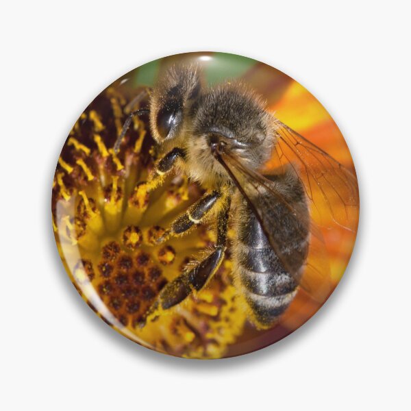 Item preview, Apis mellifera designed and sold by Mythos57.