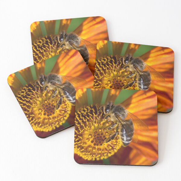 Item preview, Apis mellifera designed and sold by Mythos57.