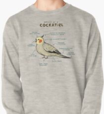 Anatomy of a Cockatiel Pullover