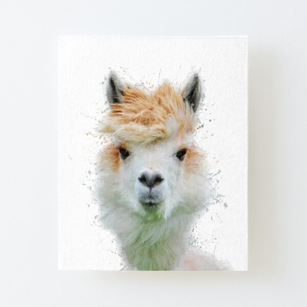 LuLu Digital Print Alpaca