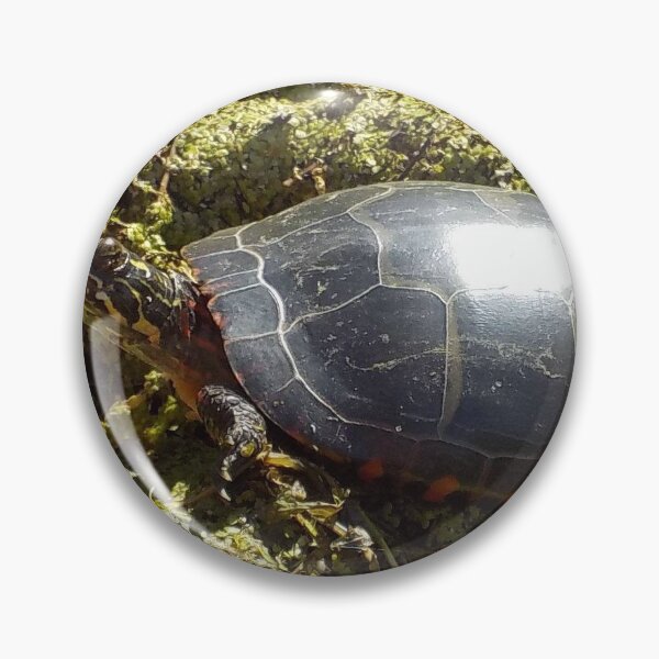 Item preview, Turtle Photo near pond designed and sold by AbstractRichter.