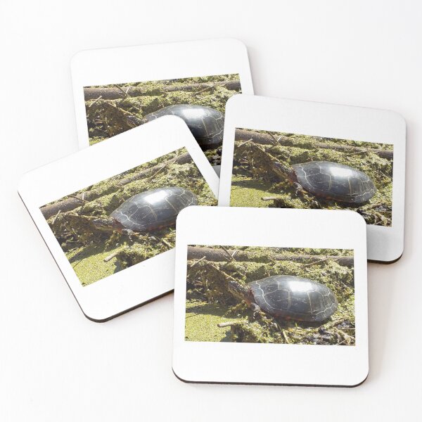 Item preview, Turtle Photo near pond designed and sold by AbstractRichter.
