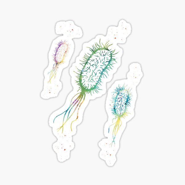Item preview, Escherichia coli designed and sold by Liededrom..