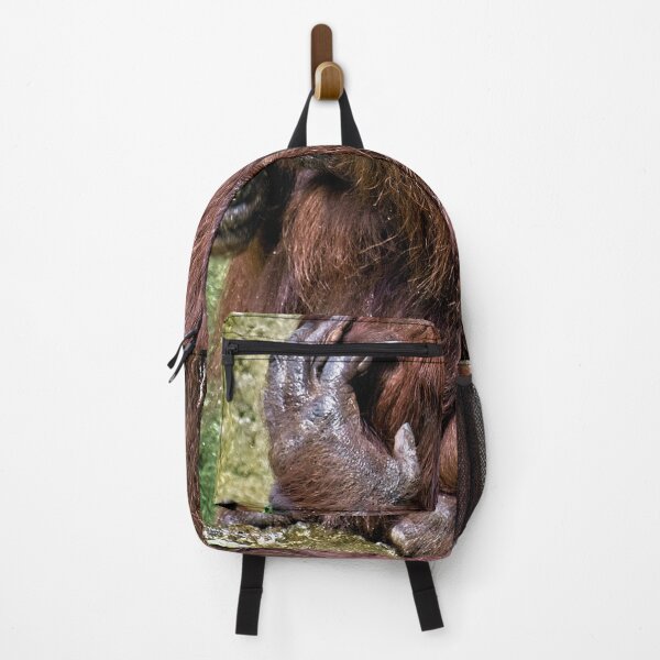 Item preview, Camera Shy  designed and sold by John  Kapusta.
