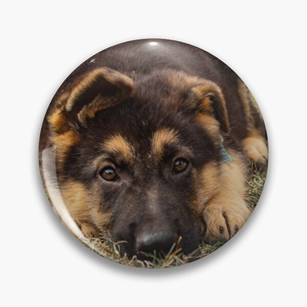Item preview, Cachorro GSD designed and sold by The Artful Finch.