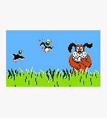 Duck Hunt Photographic Print