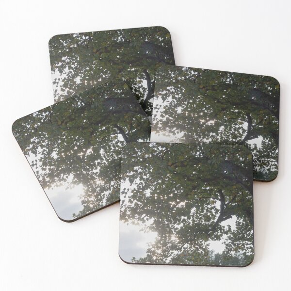Item preview, Sunlight Through the Leaves designed and sold by MooseDogPhotos.