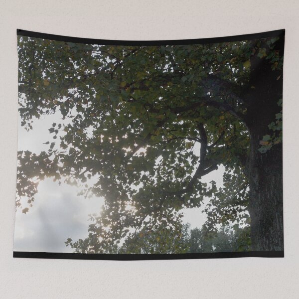 Item preview, Sunlight Through the Leaves designed and sold by MooseDogPhotos.