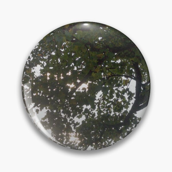 Item preview, Sunlight Through the Leaves designed and sold by MooseDogPhotos.