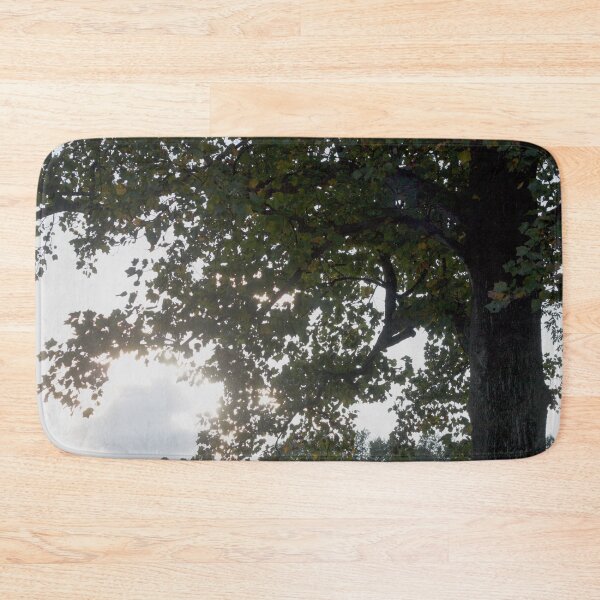 Item preview, Sunlight Through the Leaves designed and sold by MooseDogPhotos.
