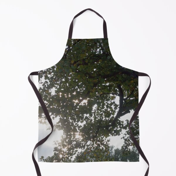 Item preview, Sunlight Through the Leaves designed and sold by MooseDogPhotos.