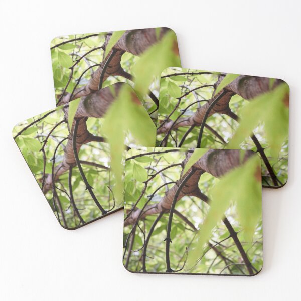 Item preview, Tree branch designed and sold by Life-s-A-Hike.