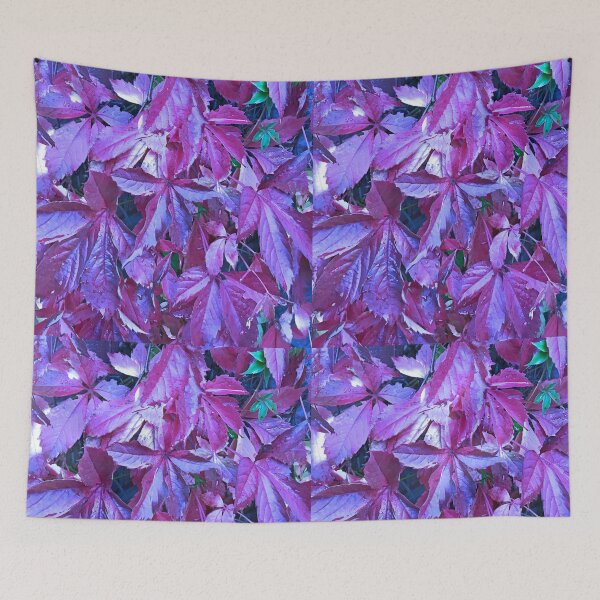 Item preview, Plant in purple turns blue designed and sold by LindaLG.