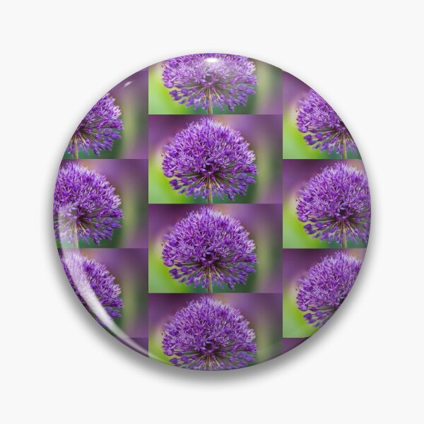 Item preview, Allium, designed and sold by John Ray.