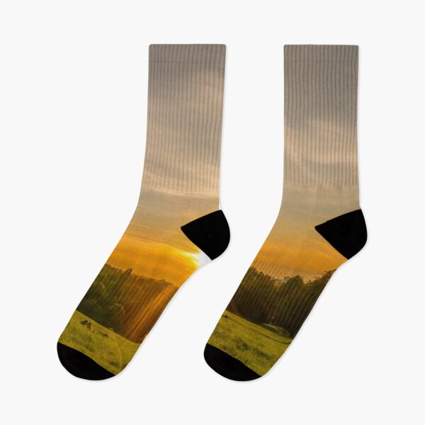 Item preview, Sunsetting over Richmond Park, London designed and sold by RezieMart.