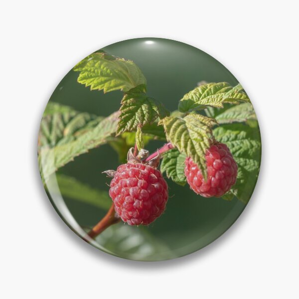 Item preview, Raspberry designed and sold by EngineerGoC.