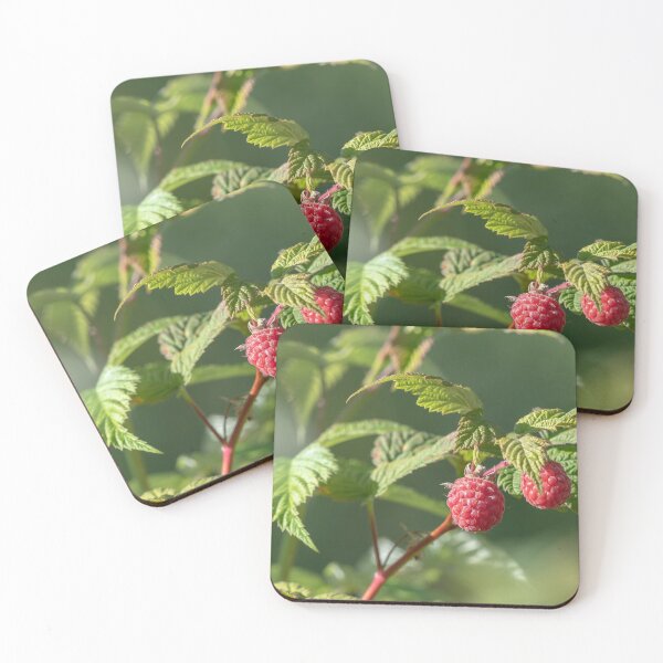 Item preview, Raspberry designed and sold by EngineerGoC.