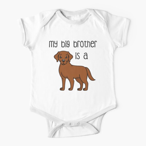 Labrador baby clothes best sale