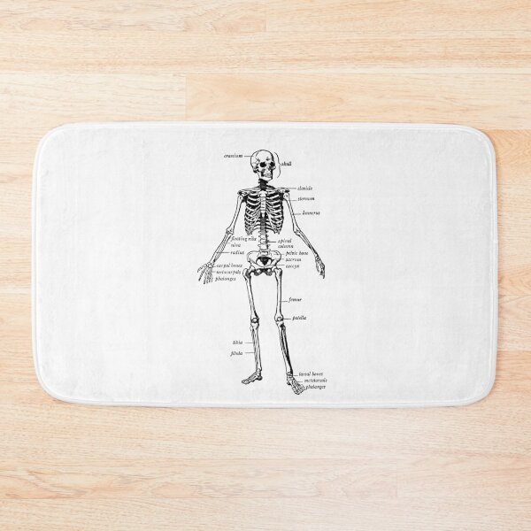 Item preview, Human skeleton  designed and sold by magda09.